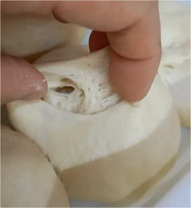 Fermentação